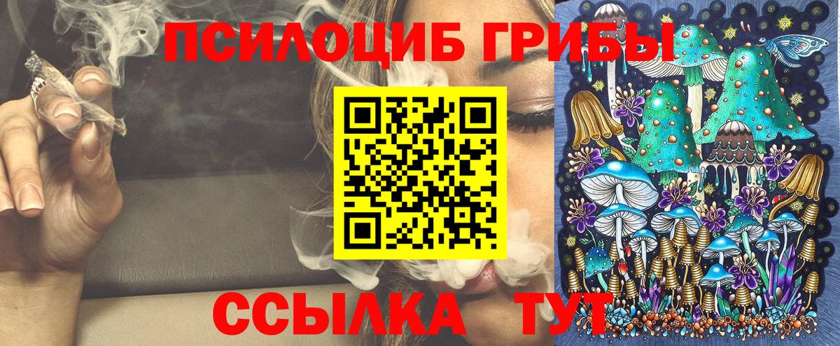 дарнет шоп  Вход с VPN  Нефтекумск  Галлюциногенные грибы мицелий 